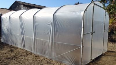 Serre de jardin 31,50m2