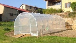 Serre à tomates