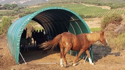 Tunnel agricole Serres la Française