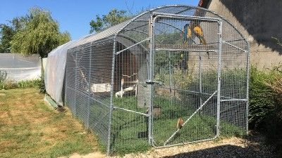 Poulailler et volières