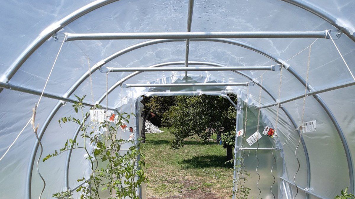Arceau rigide pour tunnel à tomates - H 180 x 32cm - Jardinet