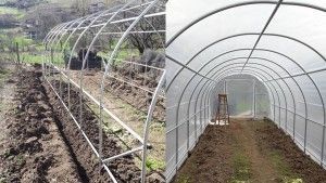 Tunel de tomates