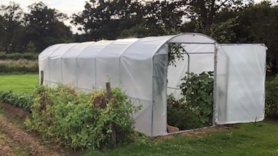 Serre de jardin 14m2